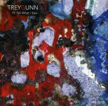 Trey Gunn - I'll Tell What I Saw